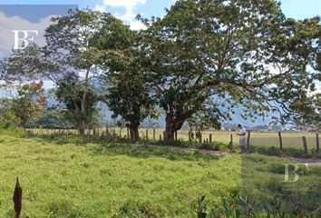 Terreno en  Oxapampa Distrito, Oxapampa