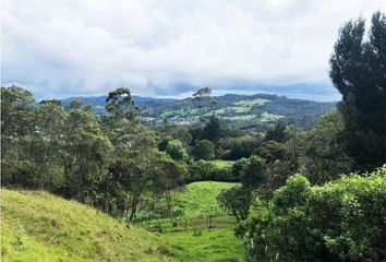 Lote de Terreno en  Poblado, Medellín