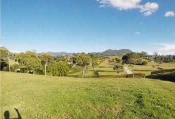 Lote de Terreno en  Rionegro Antioquía