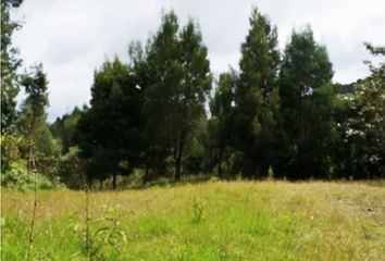 Lote de Terreno en  El Retiro, Antioquia