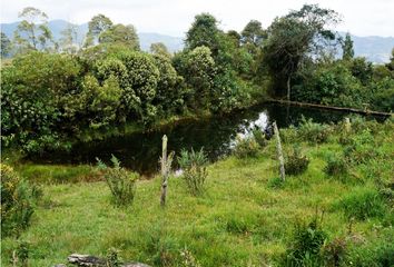 Lote de Terreno en  La Ceja, Antioquia