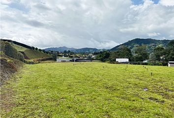 Lote de Terreno en  La Ceja, Antioquia