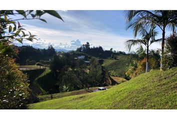 Lote de Terreno en  El Carmen De Viboral, Antioquia