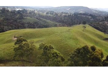 Lote de Terreno en  El Carmen De Viboral, Antioquia