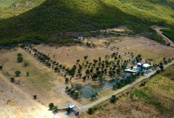 Lote de Terreno en  Montemorelos Centro, Montemorelos