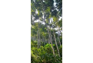 Lote de Terreno en  Angelópolis, Antioquia