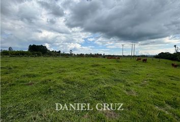 Lote de Terreno en  Campamento, Norte, Popayán