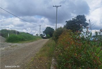 Lote de Terreno en  Circasia, Quindío