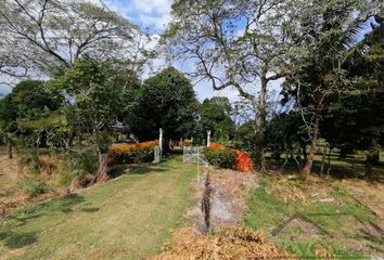 Lote de Terreno en  Municipio De Jamapa (veracruz)