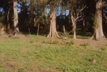 Terrenos en  Avenida Teresa Mastellone, General Rodríguez, Provincia De Buenos Aires, Arg