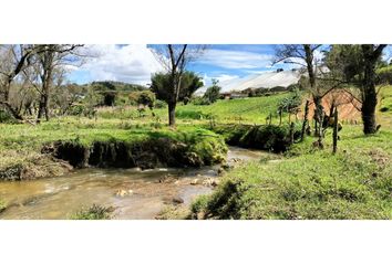 Lote de Terreno en  Marinilla, Antioquia