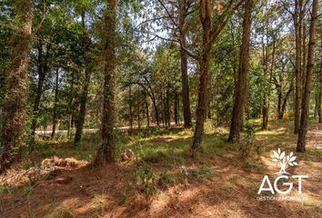 Lote de Terreno en  Avándaro, Valle De Bravo