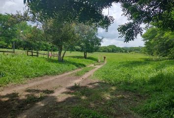 Rancho en  San Pedro Tapanatepec, Oaxaca