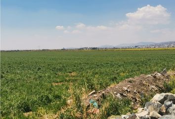 Lote de Terreno en  Los Viñedos, Zempoala