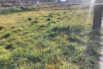 Terreno en  Sant Feliu De Pallerols, Girona Provincia