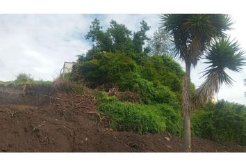 Terreno Comercial en  Tumbaco, Quito