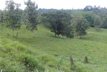 Terreno Comercial en  El Carmen