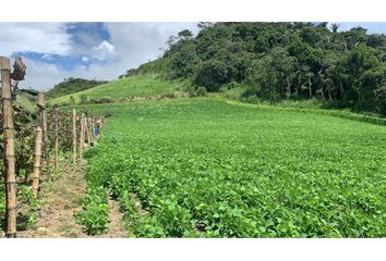 Terreno Comercial en  García Moreno (llurimagua), Cotacachi