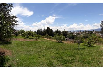 Terreno Comercial en  Puembo, Quito