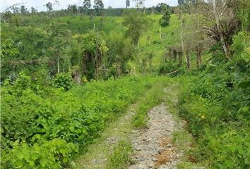 Terreno Comercial en  Santo Domingo De Los Tsáchilas