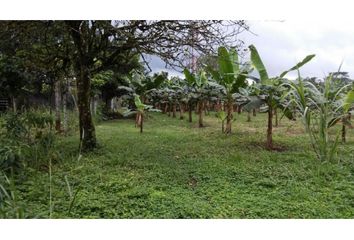 Terreno Comercial en  La Joya De Los Sachas