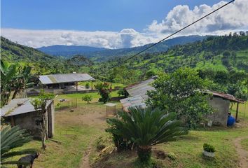 Terreno Comercial en  Pablo Sexto, Huamboya