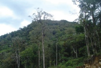 Lotes y Terrenos en  Los Naranjos, Boquete