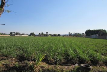 Lote de Terreno en  Yautepec Centro, Yautepec De Zaragoza