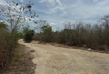 Lote de Terreno en  Camino A San Ignacio, San Ignacio, Progreso, Yucatán, 97334, Mex