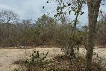 Lote de Terreno en  Camino A San Ignacio, San Ignacio, Progreso, Yucatán, 97334, Mex