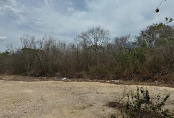 Lote de Terreno en  Camino A San Ignacio, San Ignacio, Progreso, Yucatán, 97334, Mex