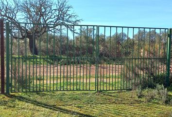 Terreno en  Jaraicejo, Cáceres Provincia