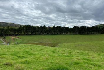 Terreno Comercial en  Tarqui, Cuenca