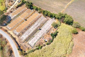 Lote de Terreno en  Pueblo Tlaltizapan De Pacheco, Tlaltizapán De Zapata