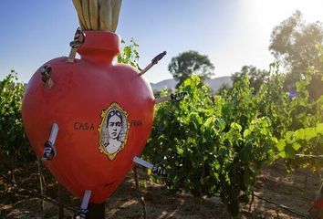 Lote de Terreno en  Carretera Ramal A Francisco Zarco, Ensenada, Baja California, 22766, Mex