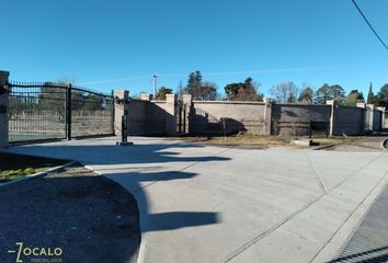 Terrenos en  Luján De Cuyo, Cuyo, Mendoza, Arg