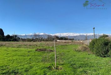 Parcela en  Colina, Chacabuco