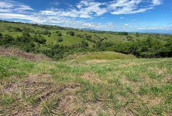 Lote de Terreno en  Cerritos, Pereira