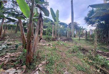 Lote de Terreno en  Montenegro, Quindío