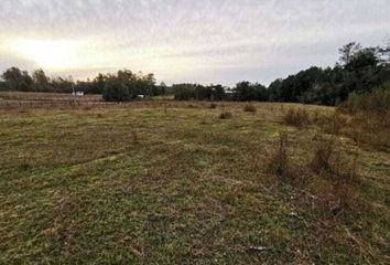 Lote de Terreno en  Tezoyuca, Emiliano Zapata, Morelos