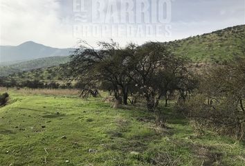 Parcela en  Colina, Chacabuco