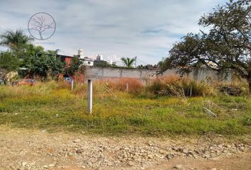 Lote de Terreno en  Unidad Habitacional Rinconada Palmira, Jiutepec, Morelos