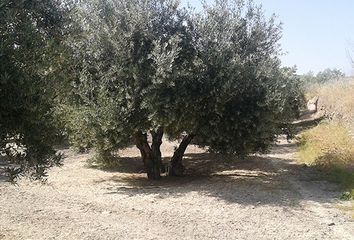 Terreno en  Santo Tome, Jaén Provincia