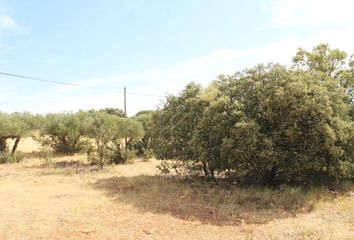 Terreno en  Renera, Guadalajara Provincia