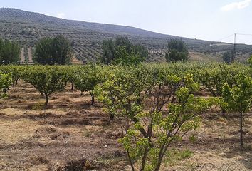 Terreno en  Santo Tome, Jaén Provincia