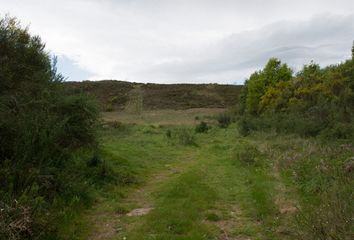 Terreno en  Sarreaus, Orense Provincia