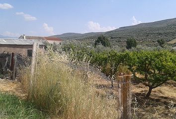 Terreno en  Santo Tome, Jaén Provincia