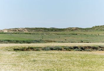 Terreno en  Luna, Zaragoza Provincia