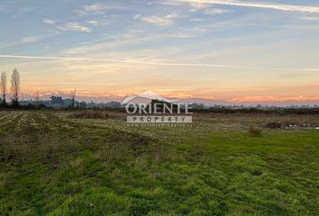 Parcela en  Teno, Curicó