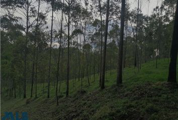 Lote de Terreno en  Quibdó, Chocó